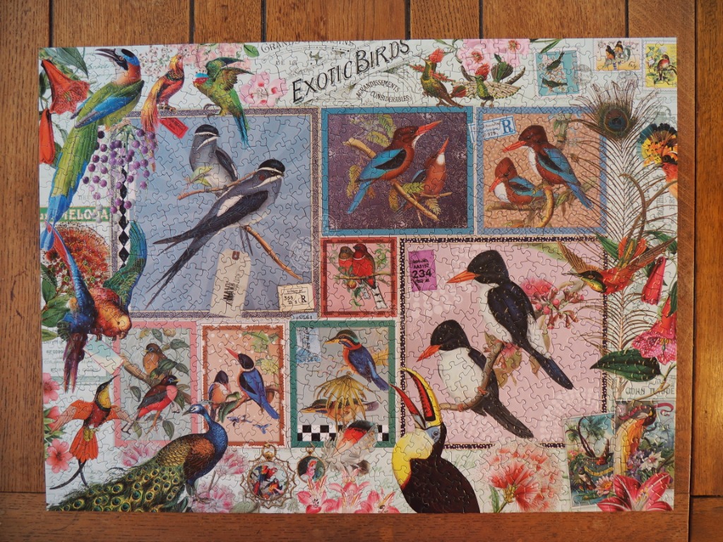 Collage of various colourful exotic birds including a peacock, toucan, and hummingbirds