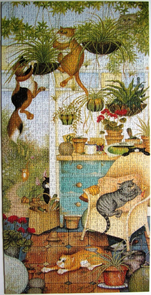 Illustration of several cats playing and relaxing in a sunlit garden room filled with potted hanging plants.