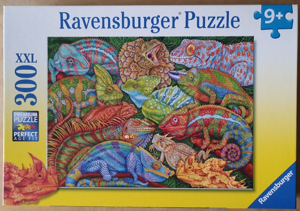 A collage of various colorful lizards, including chameleons, geckos, and iguanas, clustered together on a leafy background.
