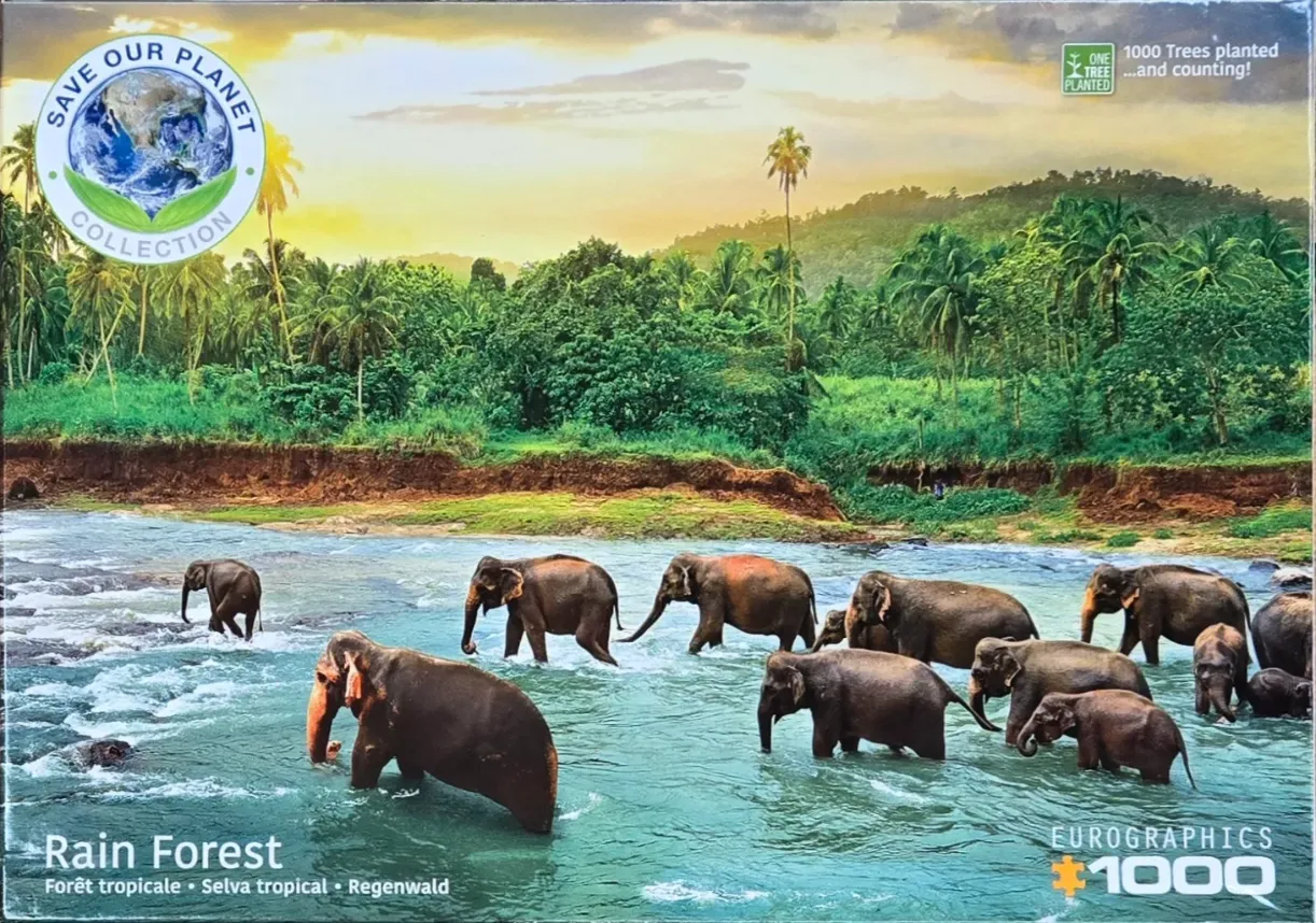 A herd of elephants walking through a river in a lush tropical rainforest setting at sunset.