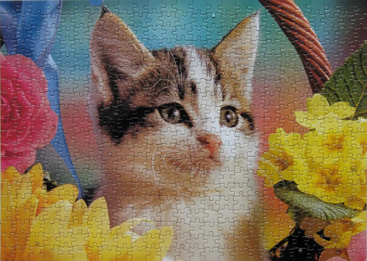 A close-up portrait of a brown and white tabby kitten nestled among bright spring flowers.