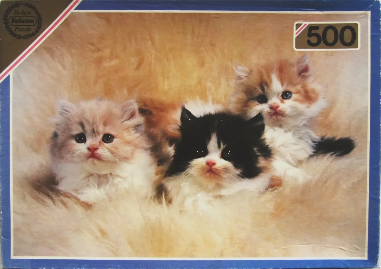 Three fluffy kittens sitting on a plush tan surface.