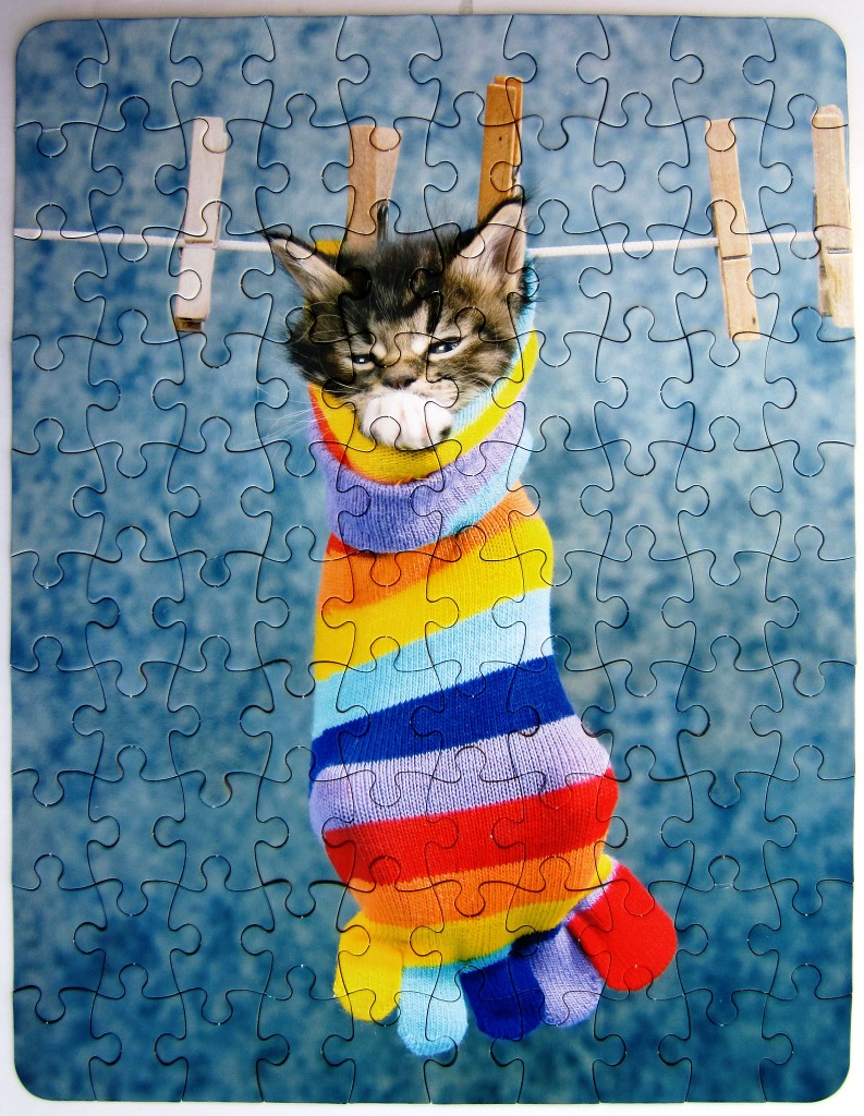 A fluffy kitten peering out of a colorful striped toe-sock hanging on a clothesline.