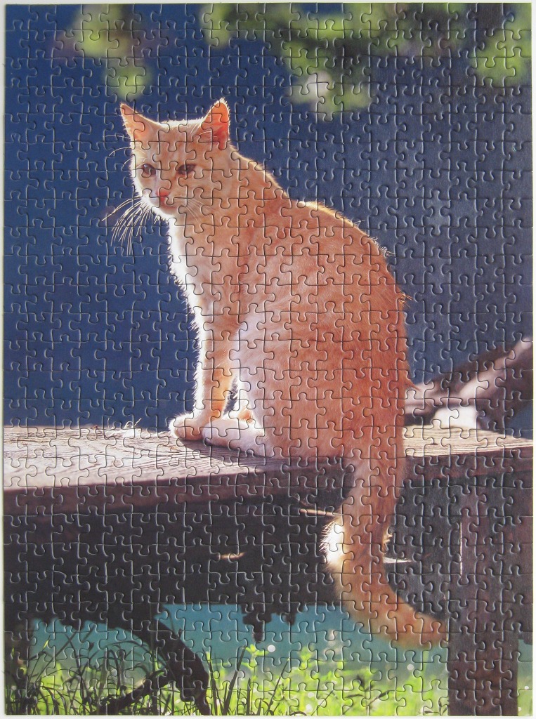 A ginger cat sitting on a wooden bench outdoors in the sun.