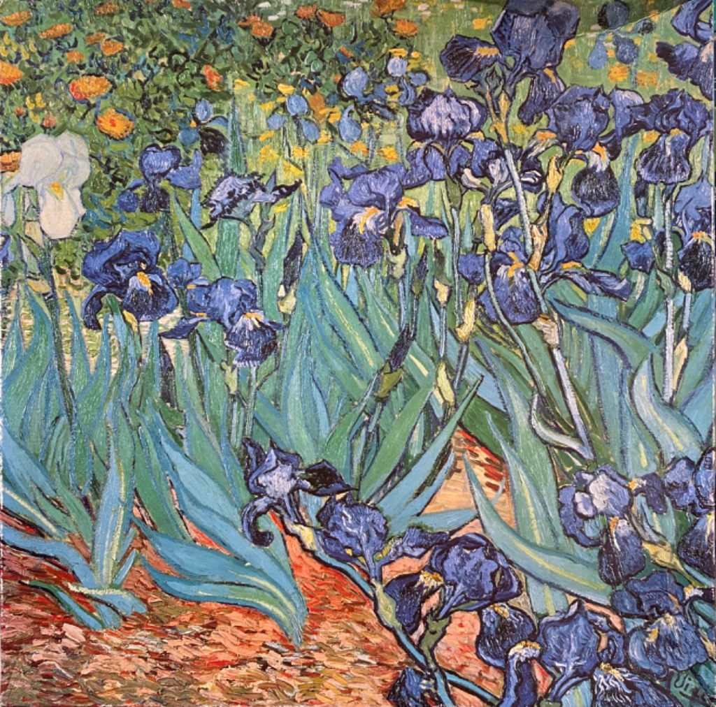 Impressionist painting of vibrant purple irises blooming in a garden with a single white iris and golden flowers behind.