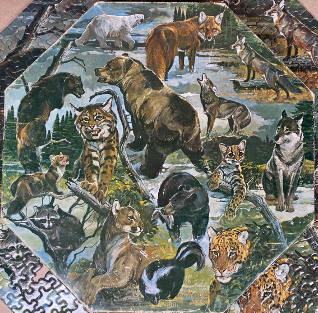 A collection of various North American wildlife species painted in a realistic outdoor woodland setting.
