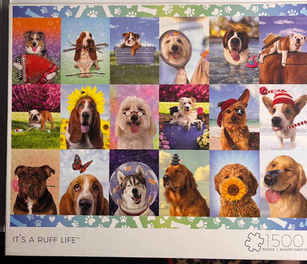 A grid of 15 humorous portraits of different dog breeds in various whimsical costumes and settings.