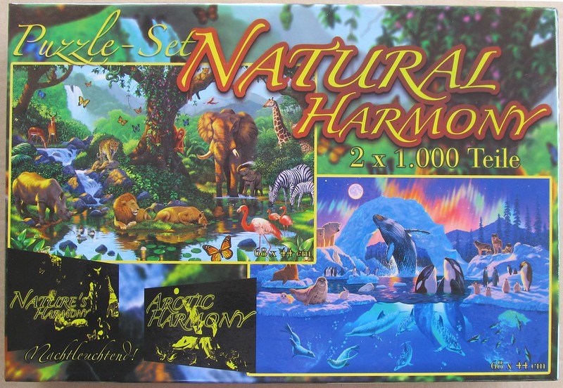 Two side-by-side scenes showing African wildlife in a lush jungle and Arctic marine life under the northern lights.