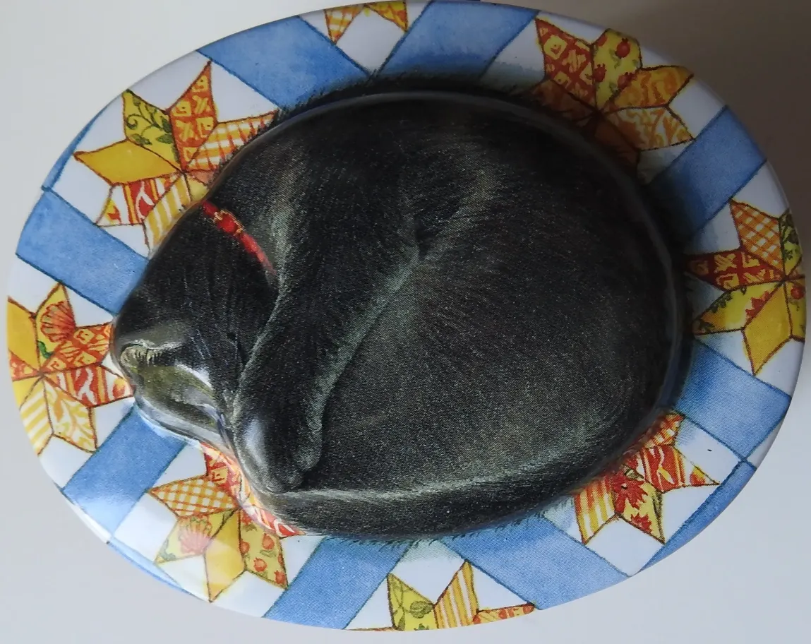 A black cat curled into a circle sleeping on a patterned quilt with blue stripes and yellow star designs.