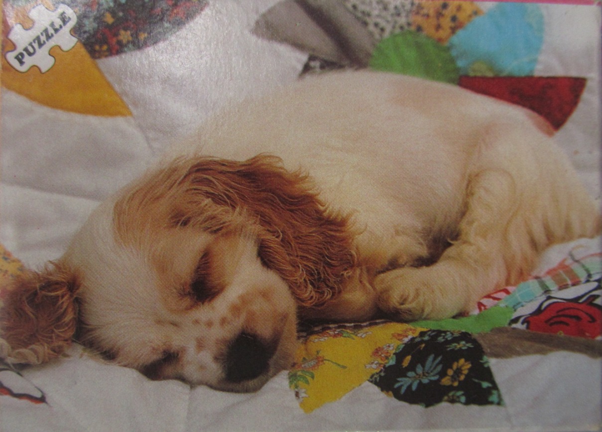 A cream and tan spaniel puppy sleeping peacefully on a colorful patchwork quilt.