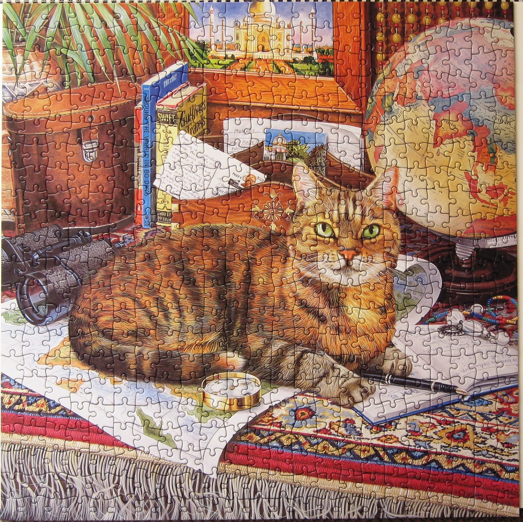 A tabby cat resting on a world map in a study filled with travel-themed items like a globe and binoculars.