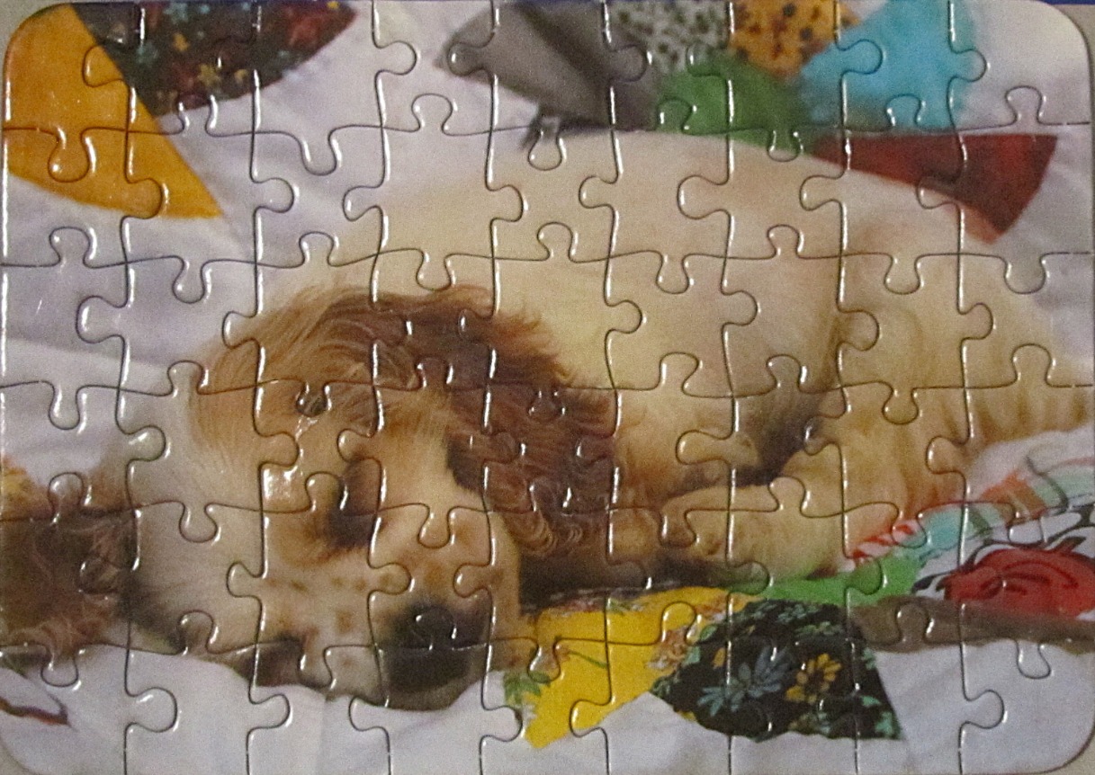 A golden-brown spaniel puppy sleeping on a quilt with colourful fabric patches.