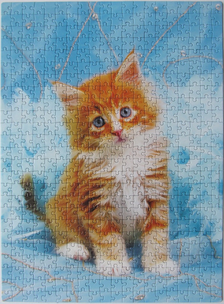 A fluffy ginger kitten sitting against a bright blue, cloudy background.