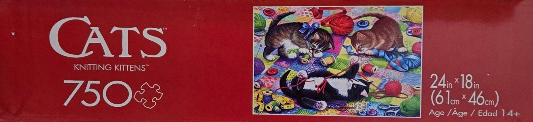 Knitting Kittens