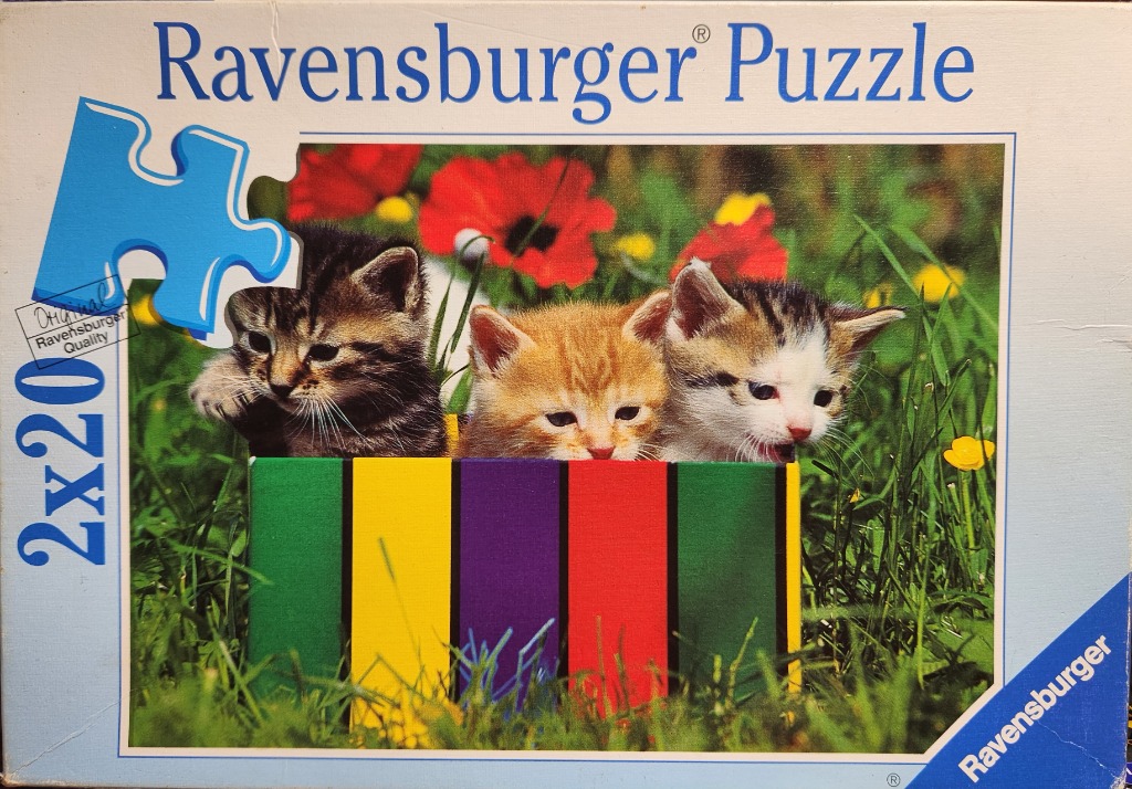 Three kittens sitting in a colorful box nestled in a field of green grass and red poppies.