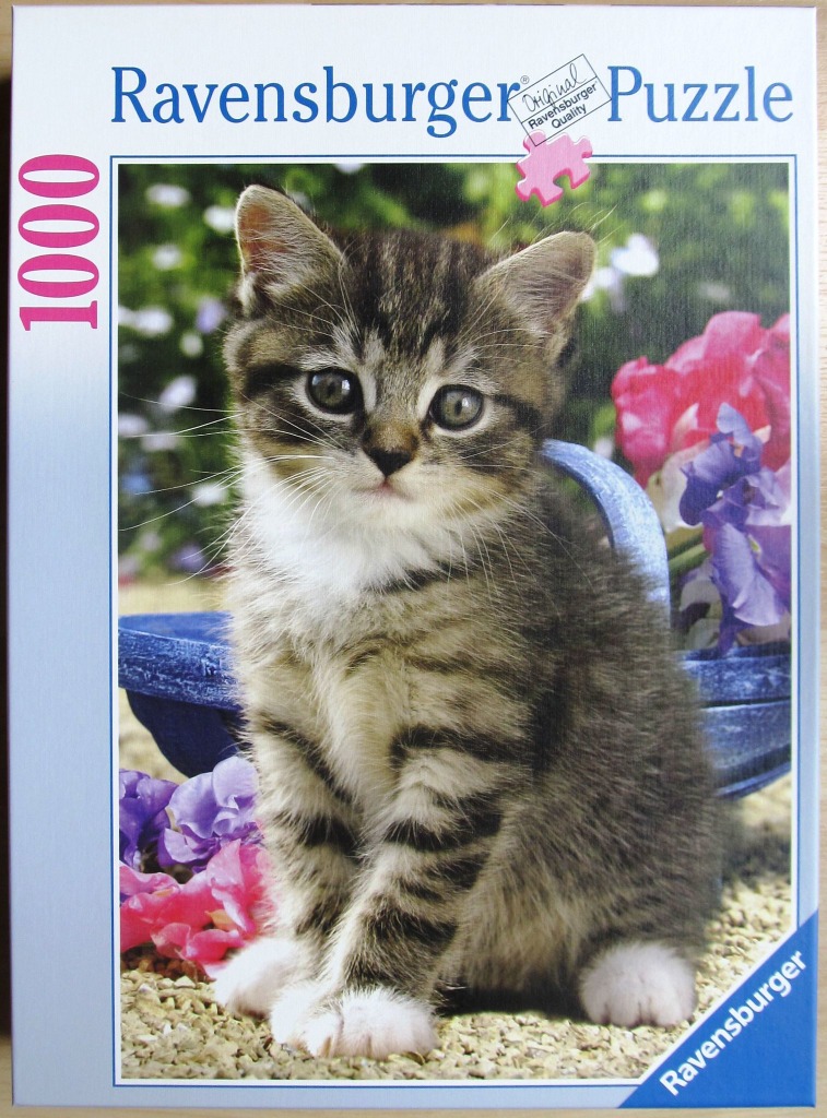 A close-up portrait of a fluffy tabby kitten sitting in front of a blue basket amidst colorful flowers.