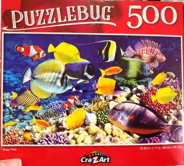 A vibrant underwater scene featuring a wide variety of colorful tropical fish swimming above a coral reef.