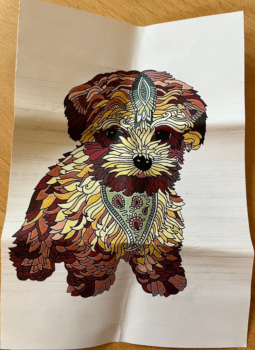 Intricate, colorfully illustrated puppy with paisley and decorative patterns on a creased white background.