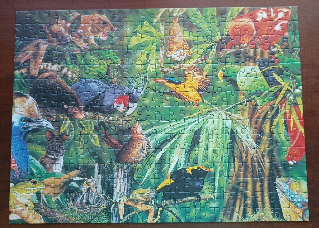 A lush rainforest scene densely populated with various Australian animals and birds.