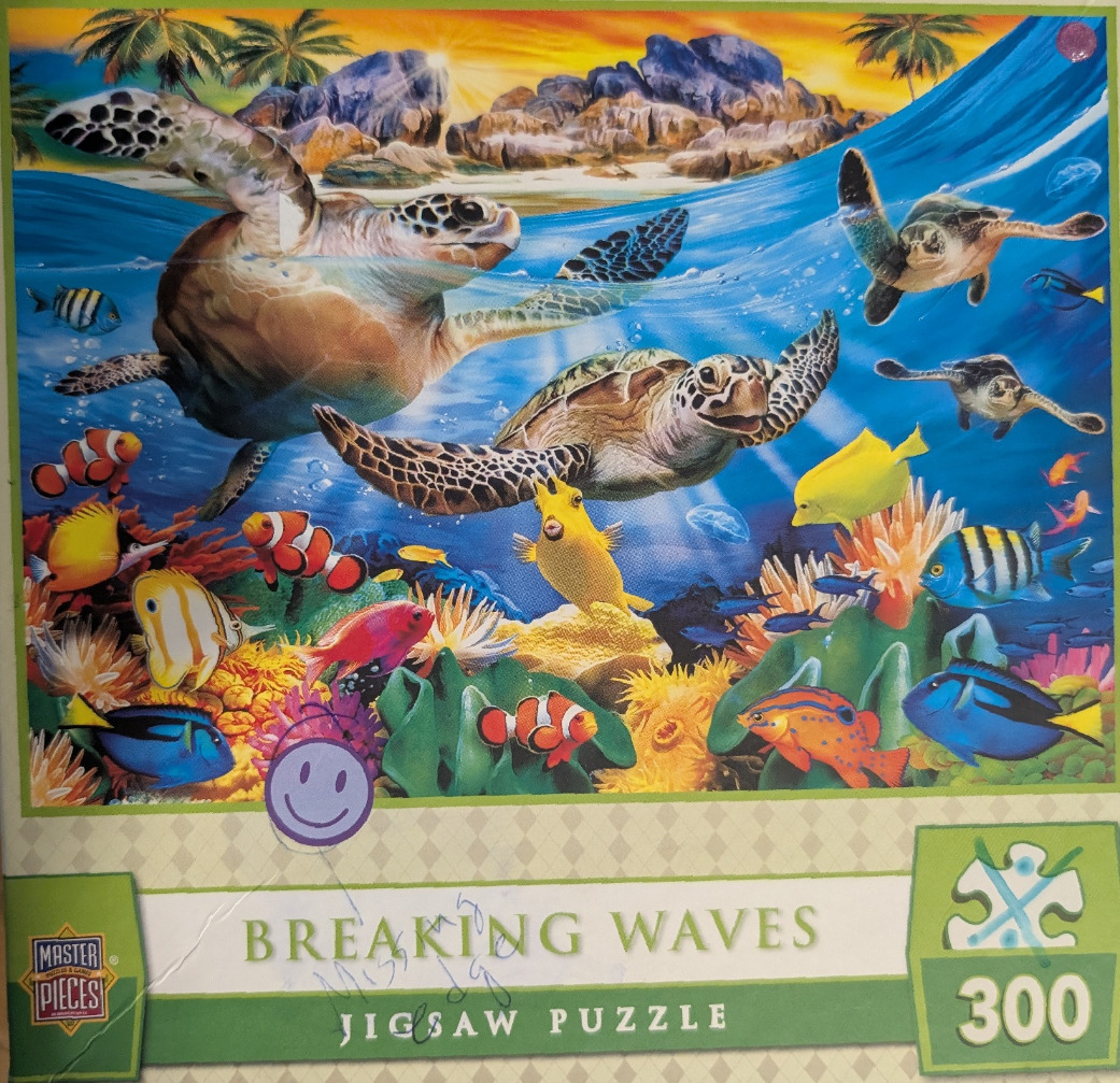 Two sea turtles swimming in a vibrant tropical reef surrounded by colorful coral and various reef fish.