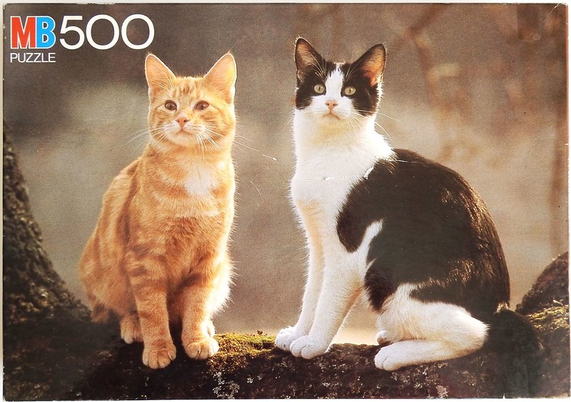 An orange tabby cat and a black and white cat sitting side-by-side on a tree branch in a soft-focus forest.