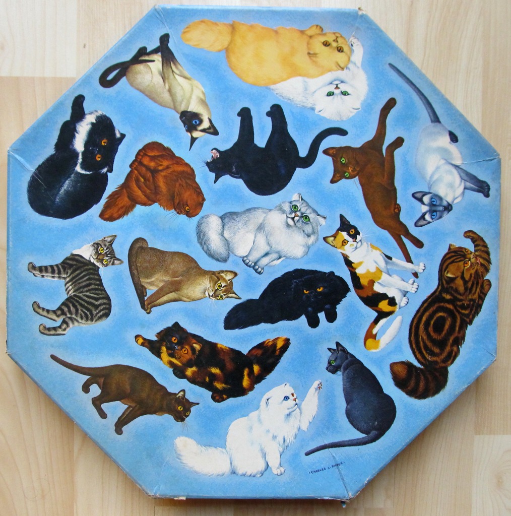 An octagonal illustration featuring sixteen different cats of various breeds and colours on a bright blue background.