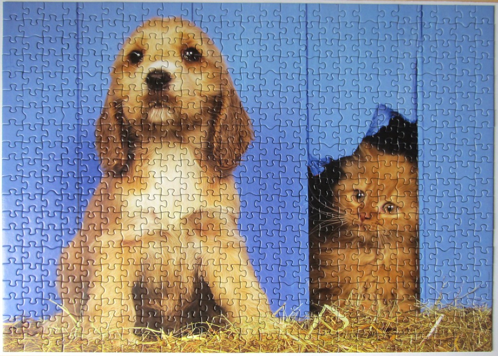A puppy and a kitten peaking through a blue wooden fence.