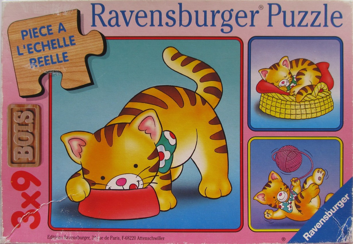 Illustration of three scenes featuring a cute cartoon orange tabby kitten playing and sleeping.