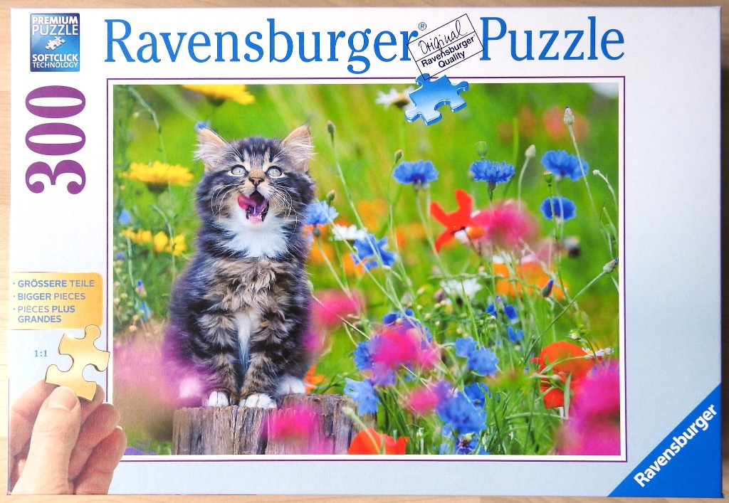 A fluffy tabby kitten licking its nose while sitting on a wooden post in a vibrant meadow of wildflowers.