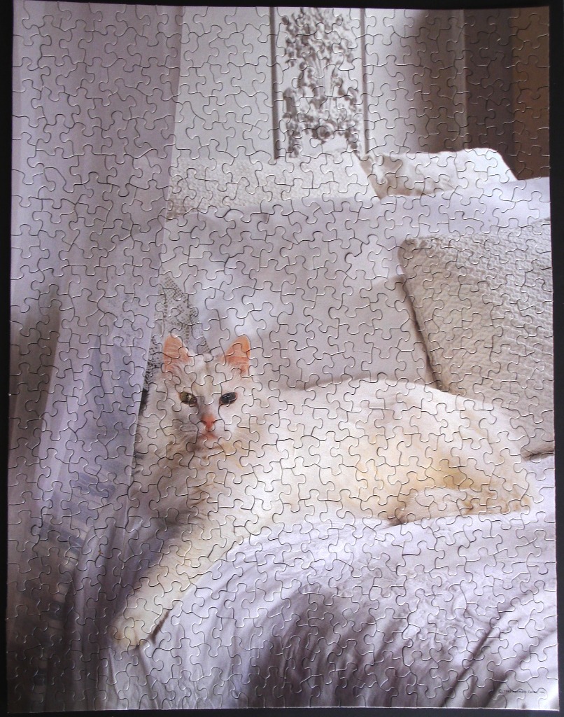 A white fluffy cat resting on a bed behind a sheer curtain.