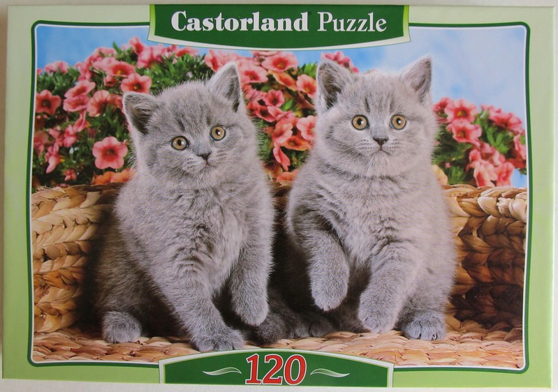 Two fluffy grey kittens sitting in a woven basket in front of pink flowers.
