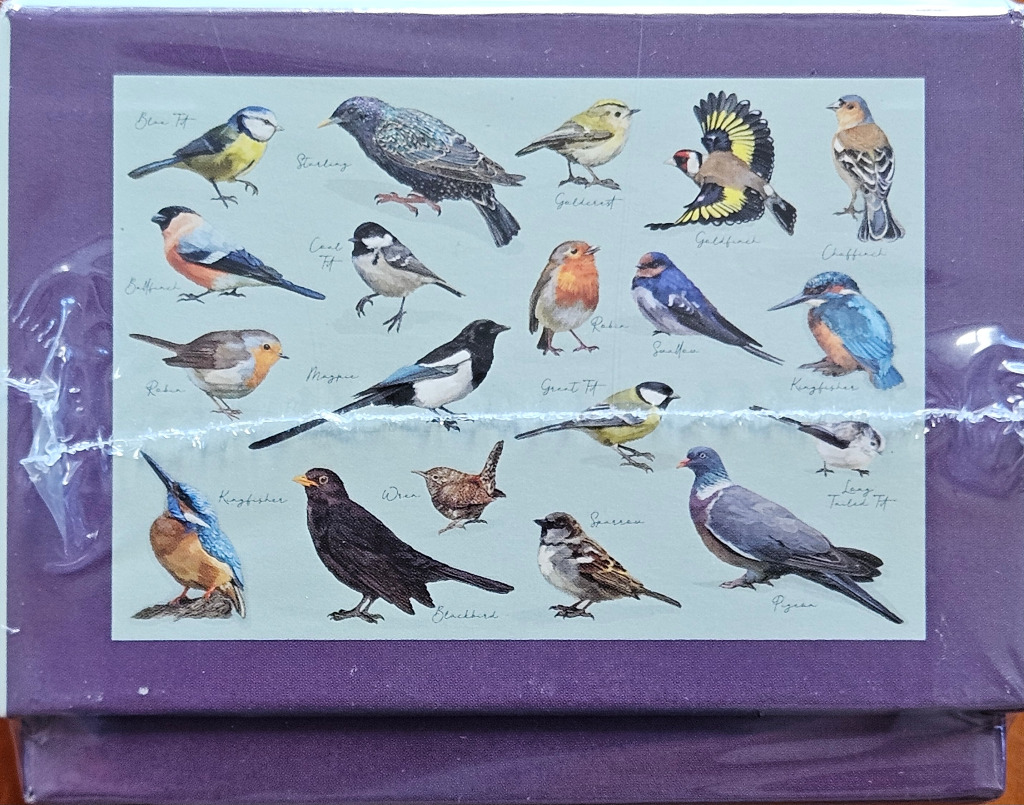 No title (birds)