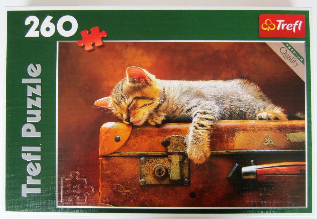 A small tabby kitten sleeping peacefully on a vintage leather suitcase against a warm, rustic background.