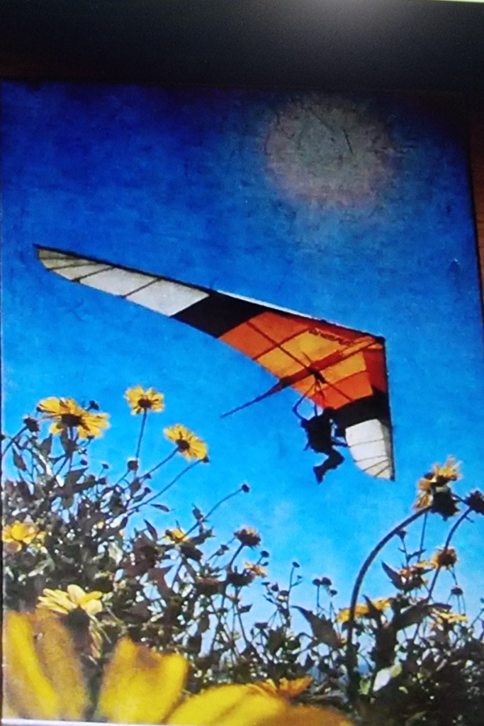 A hang glider flying in a bright blue sky above a cluster of yellow wildflowers.