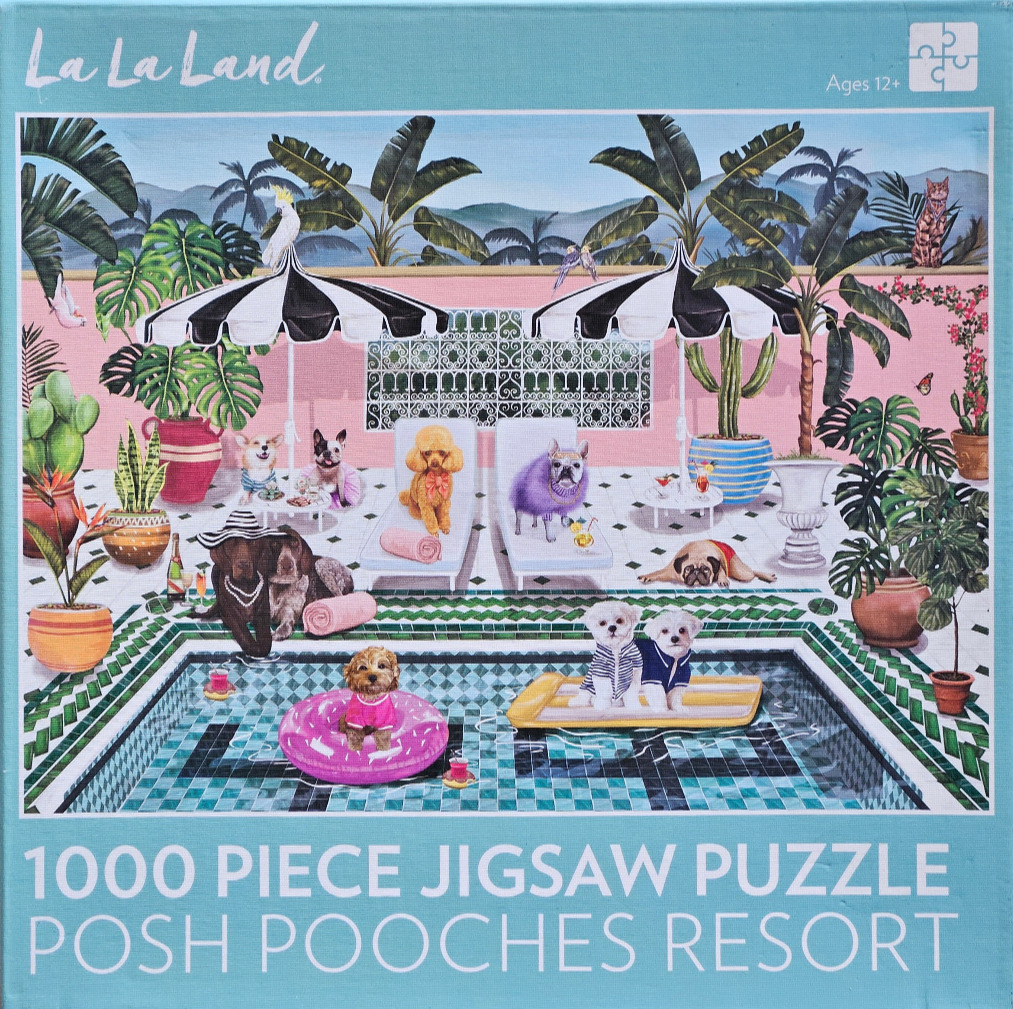 An illustration of various dog breeds relaxing poolside at a tropical resort with black and white umbrellas.