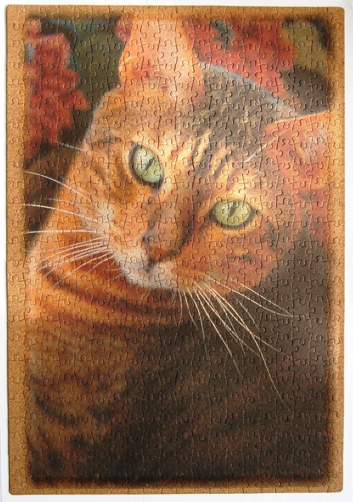 Close-up portrait of an orange tabby cat with green eyes against a dark, textured background