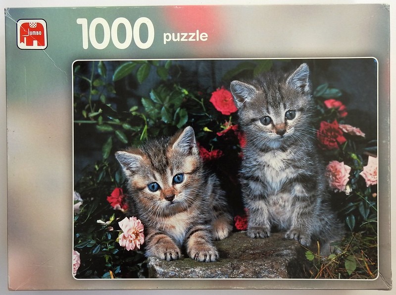 Two fluffy tabby kittens sitting on a stone in a garden with red and pink roses.