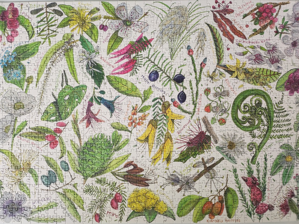 Botanical illustration of various New Zealand native plants and flowers with handwritten labels.