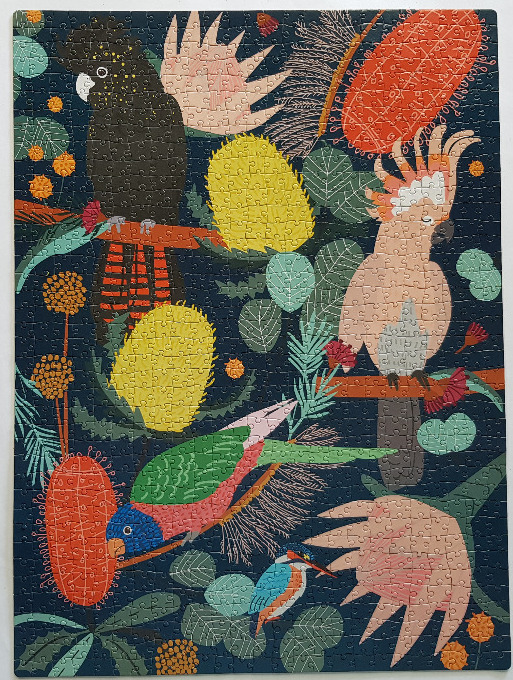 An illustration of various Australian birds and native flowers on a dark navy background.