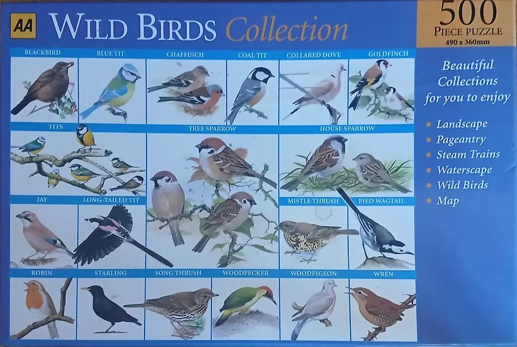A collection of illustrations of various wild birds arranged in a grid with their names labeled above each image.