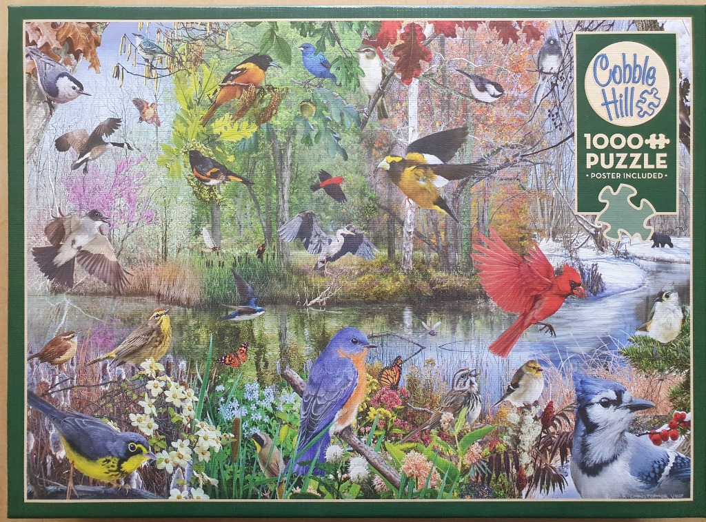 A collage of diverse birds in a natural landscape featuring flowers, a stream, and seasonal foliage.