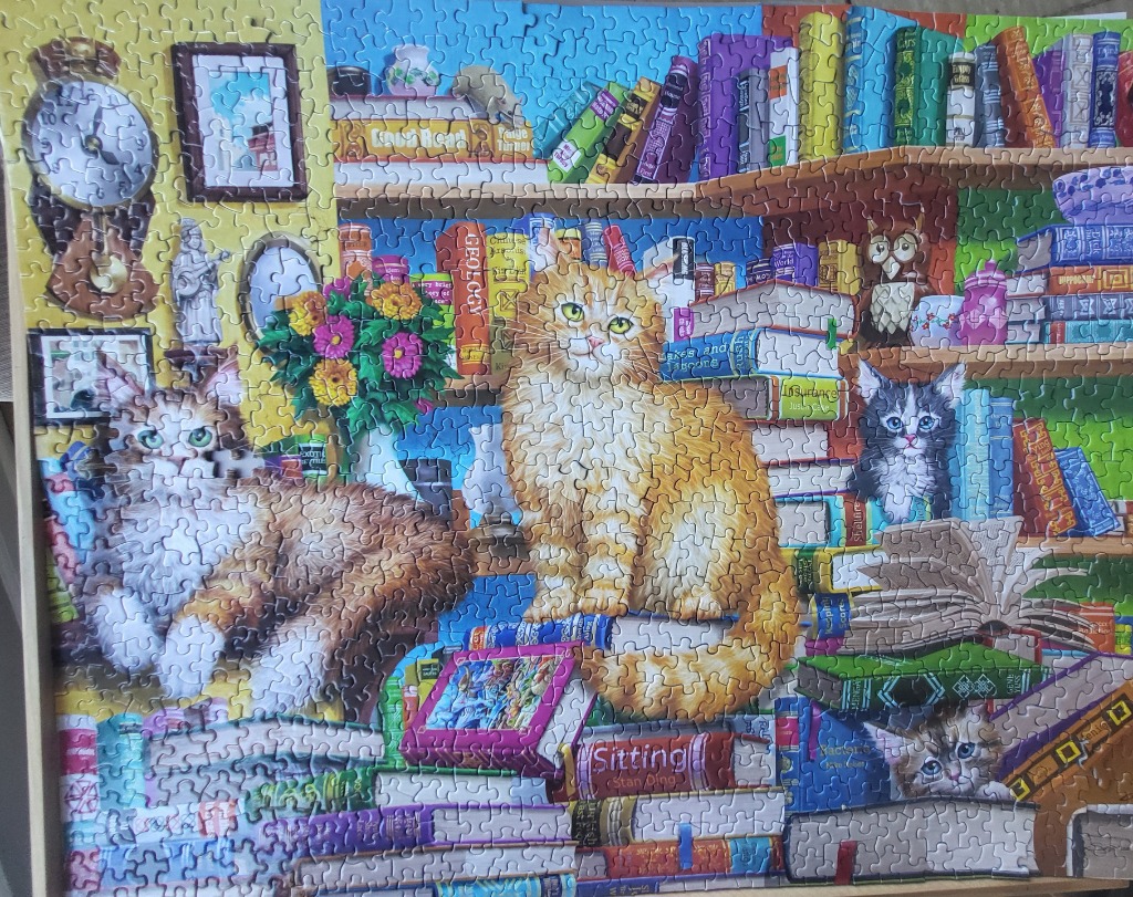 An illustration of three cats resting among stacks of books and shelves in a cozy, colourful library setting.