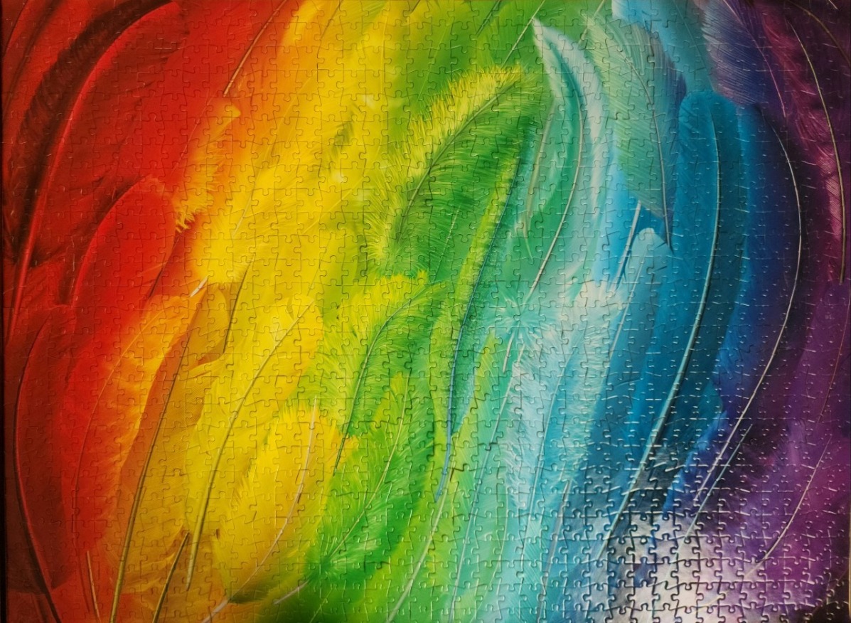 An abstract painting of overlapping rainbow-colored bird feathers arranged in a sweeping diagonal curve.