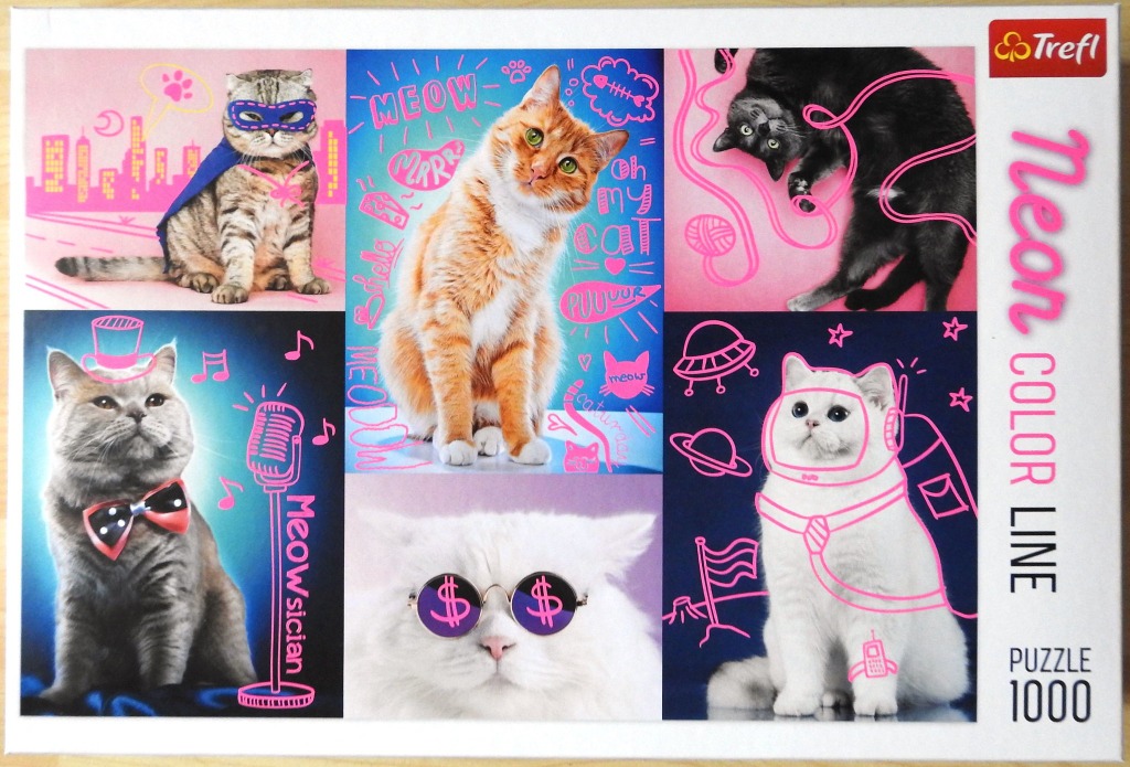 A collage of five diverse cat portraits accented with bright neon pink doodles against pink and blue backgrounds.