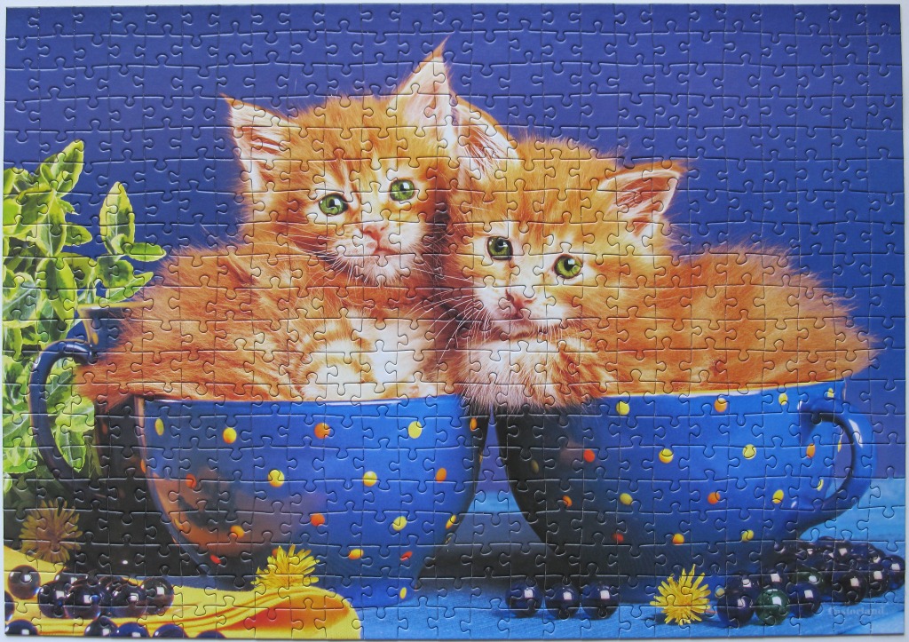 Two fluffy ginger kittens sitting inside oversized blue polka-dotted teacups against a solid blue background.