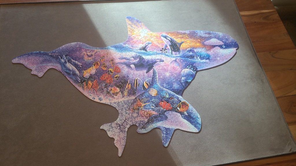 A shaped illustration of a killer whale filled with a colorful coral reef and marine life scene.