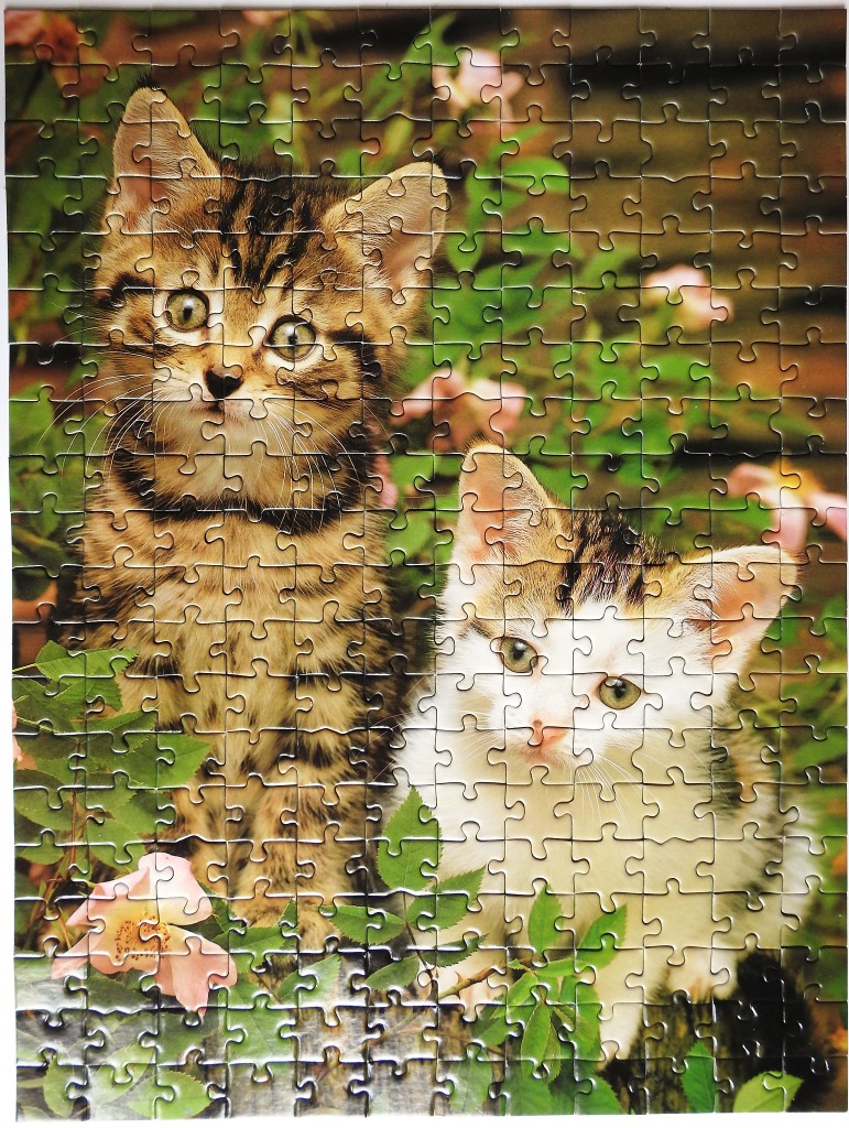 Two kittens sitting in a garden with pink flowers