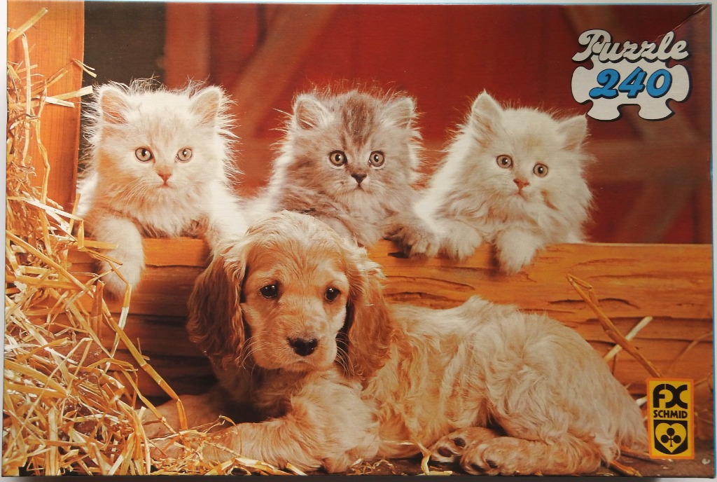 Three fluffy kittens peeking over a wooden ledge behind a lying cocker spaniel puppy in a barn setting.