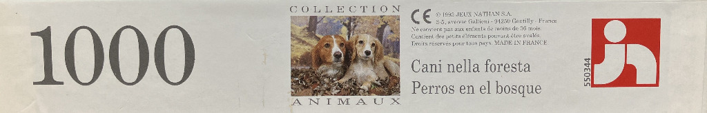 Dogs in the Forest