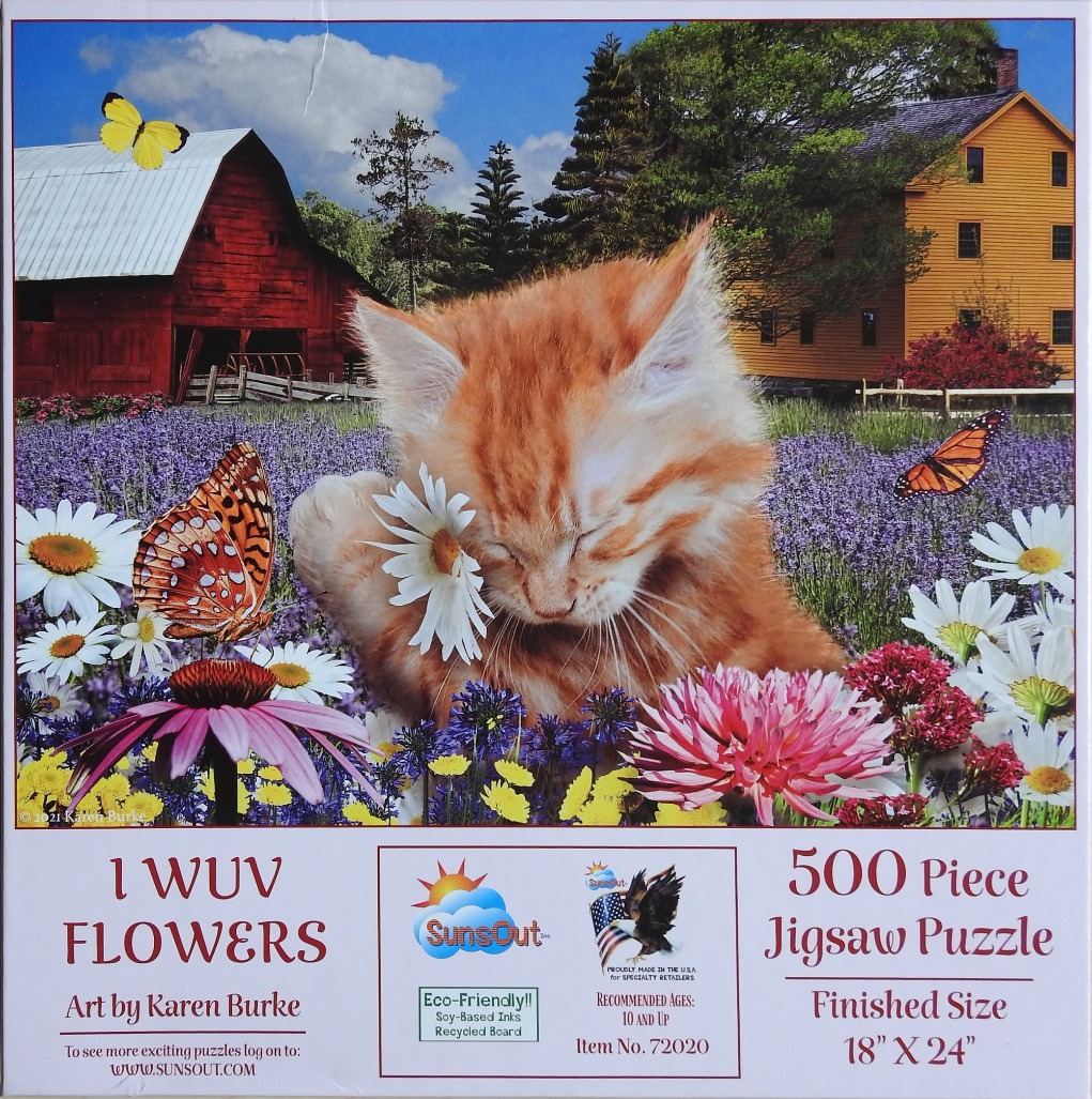 A fluffy orange kitten sleeping among wildflowers with farm buildings in the background.